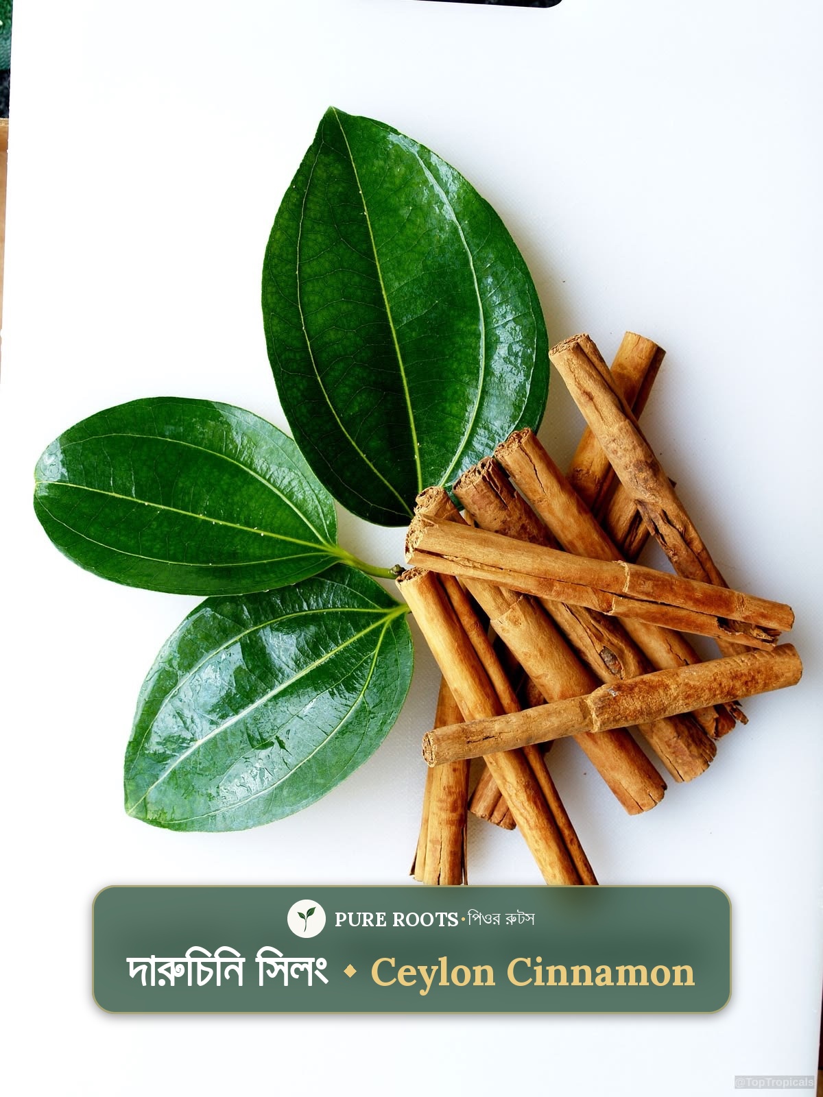 ceylon-cinnamon - সিলন দারুচিনি