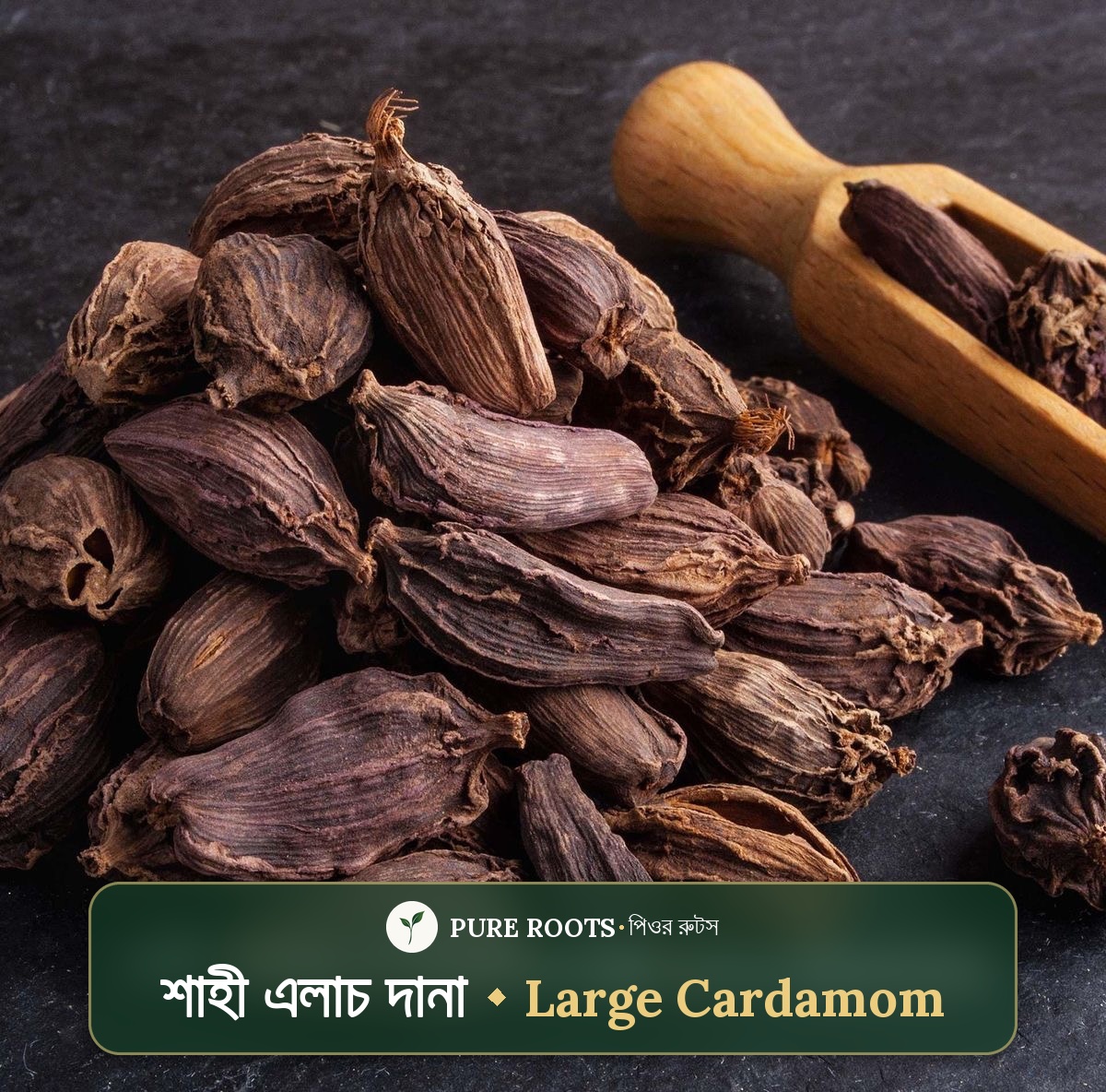 Large-cardamom-বড় এলাচ