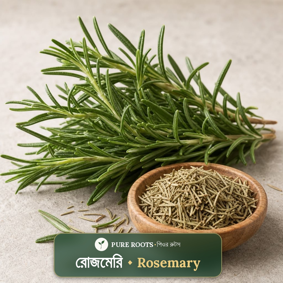 Rosemary-রোজমেরি