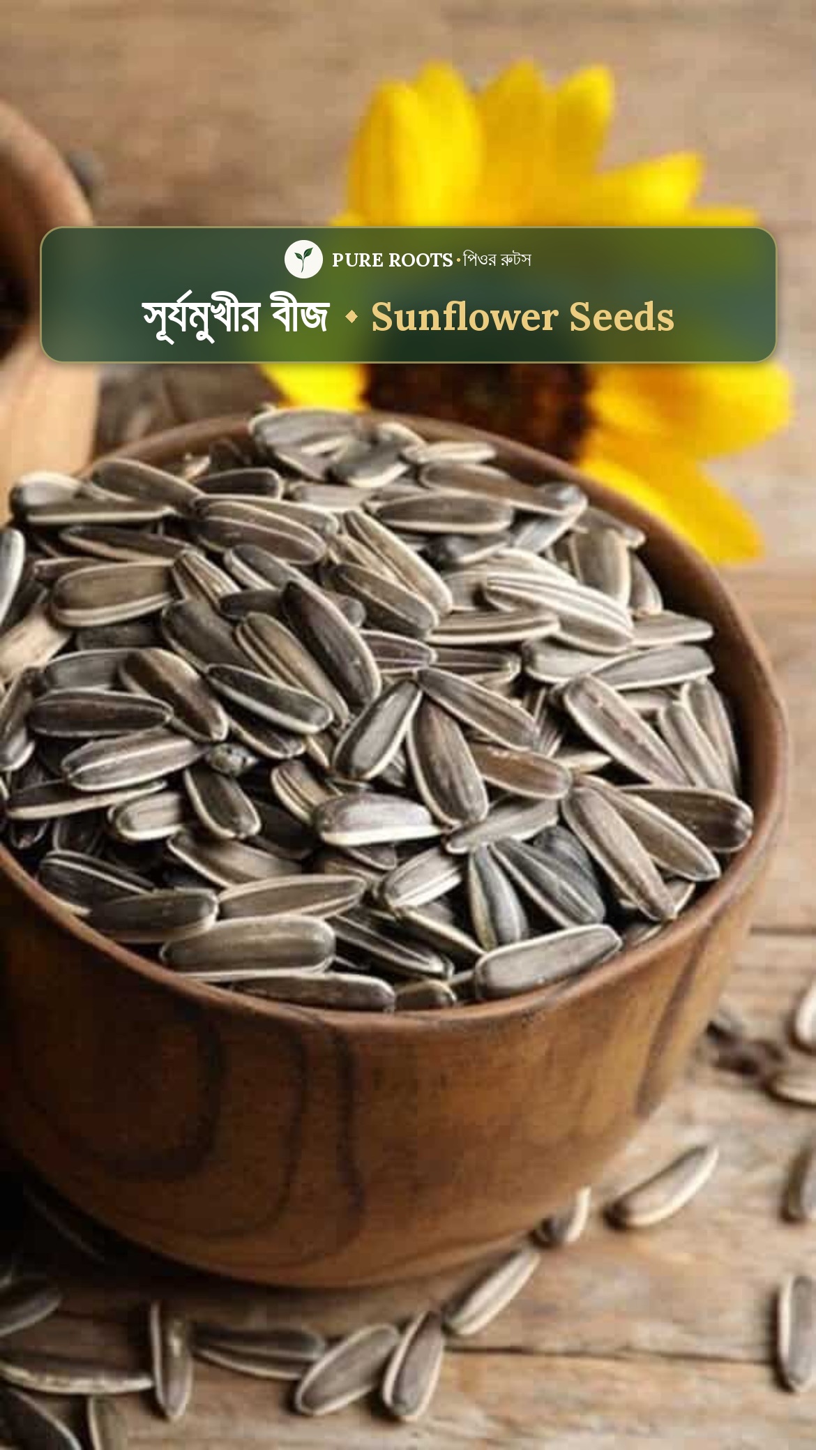 Sunflower seeds-সূর্যমুখীর বীজ